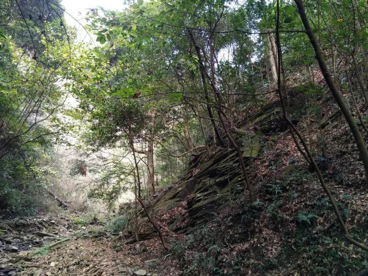 工业和信息化部等七部门发布推动未来产业创新发展的实施意见