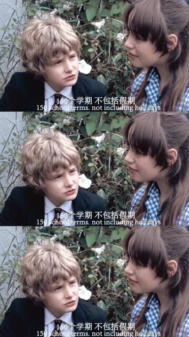 道奇蝰蛇找不同