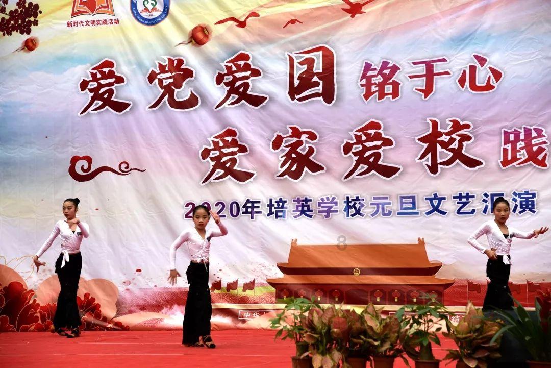 救援白色小猫